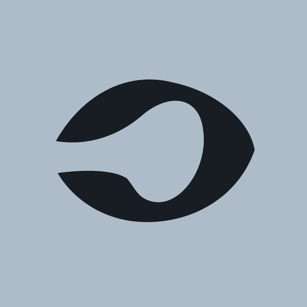 The $QUANT token: the graphite Quant aperture mark on a silver blue square.